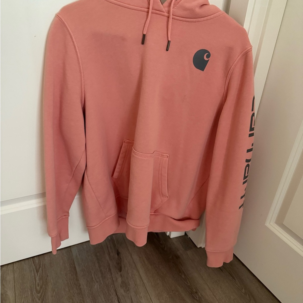 Carhartt Men's Coral Hoodie Sweater